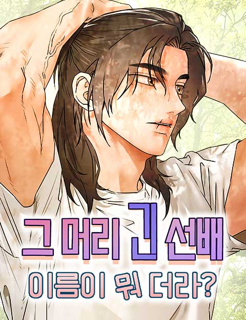 그 머리 긴 선배, 이름이 뭐더라? 웹툰 표지 (불관후)