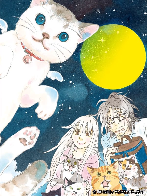 No 고양이 No 라이프 ~우리들의 지역 고양이 계획~ 웹툰 표지 (사이토 린)