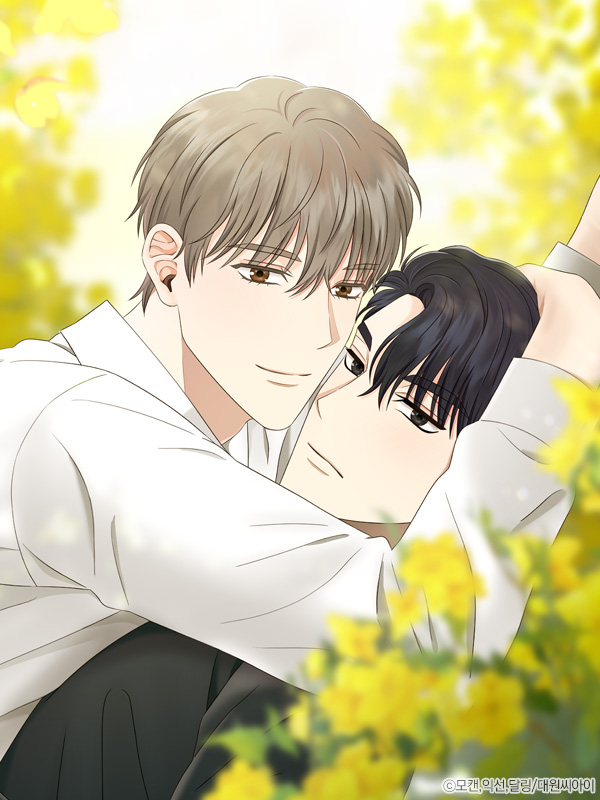 올 어바웃 유어 러브 [개정판][연재] 웹툰 표지 (익선,달링,모캔)