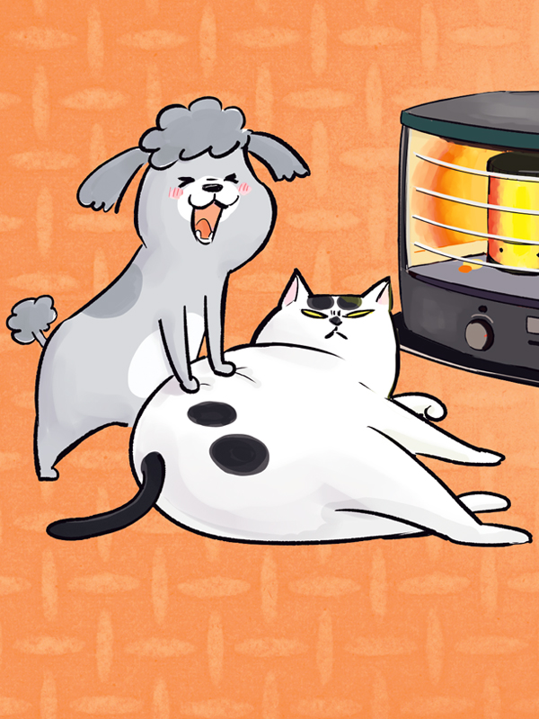 개와 고양이 둘 다 키우면 매일이 즐거워 웹툰 표지 (마츠모토 히데키치)