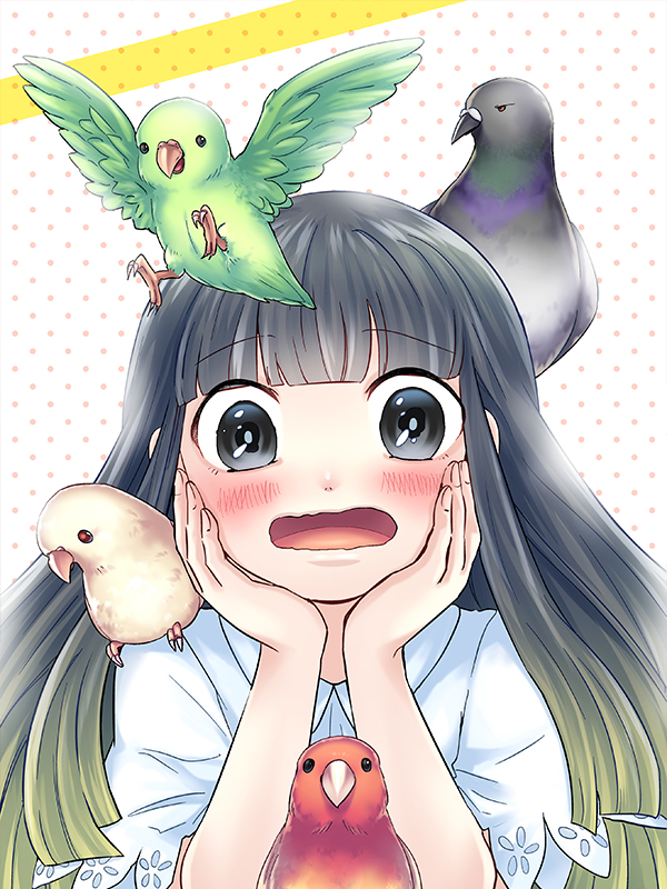 새 아가씨는 짝이 되고 싶어! 웹툰 표지 (카와타 에이스케)