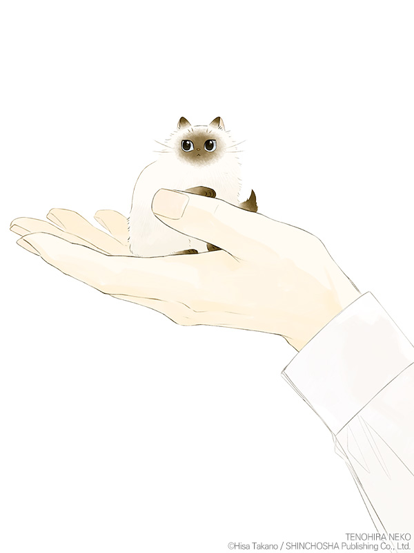 손바닥 고양이 웹툰 표지 (타카노 히사)
